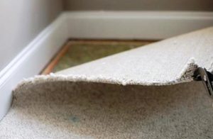 How much does it cost to remove carpet