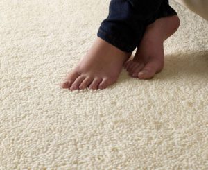 selecting best carpet what you need